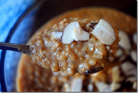 steel cut oats close up spoonful