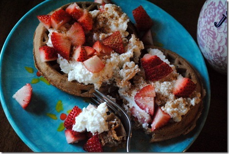 vans waffles
