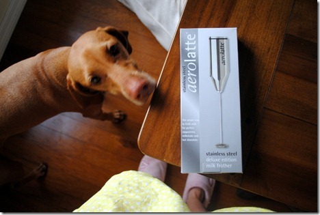 frother