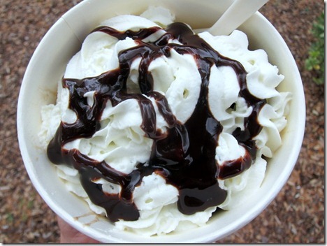 frozen yogurt 009