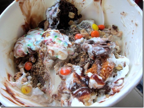 frozen yogurt 011