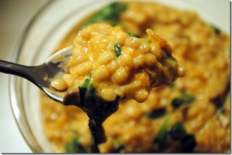 goat cheese and butternut squash barley risotto