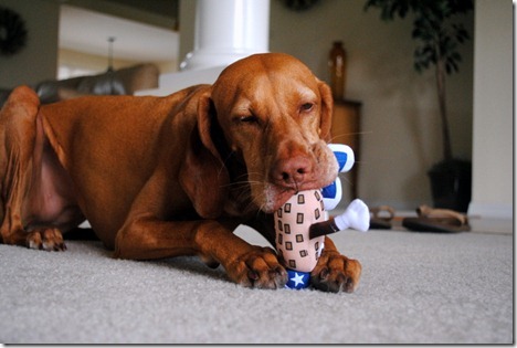 sadie and mr. peanut 038