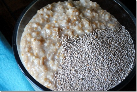 steel cut oats and chia seeds
