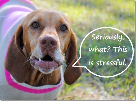 stressful