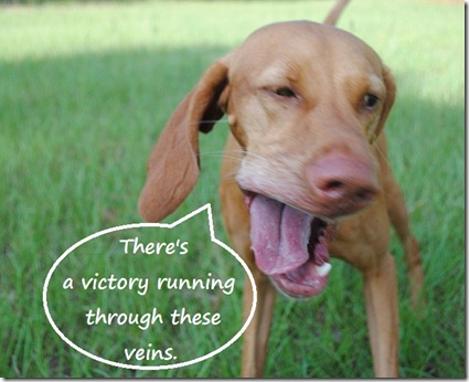 victory