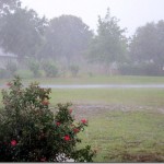 IMG_0473-001 IMG_0473-001
