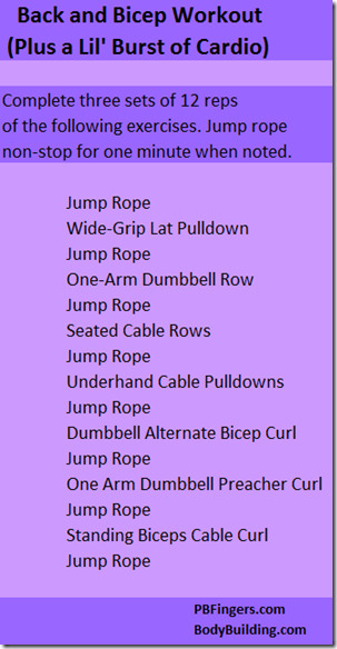 back and bicep workout