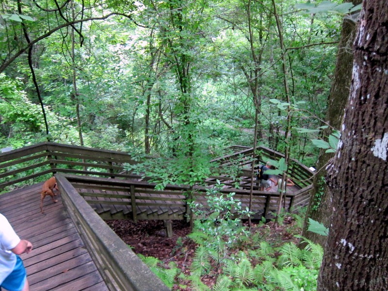 Devil’s Millhopper and Paynes Prairie Peanut Butter Fingers