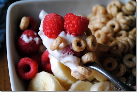 greek yogurt breakfast bowl 013