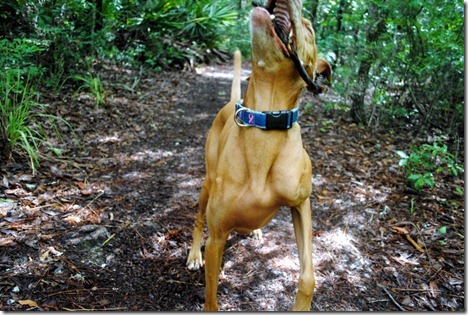 hiking 006