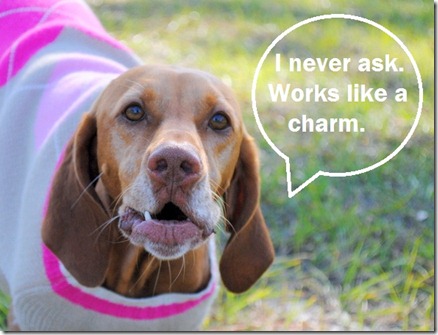 never ask
