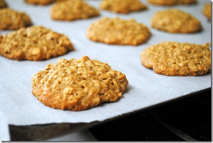 oatmeal banana peanut butter cookies 034-001