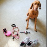 ready to run ready to run