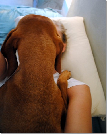 sadie 045