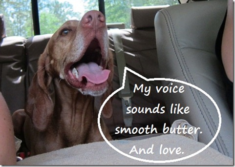 voice sounds like butter
