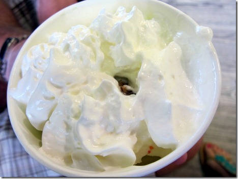 dog in kiddie pool 043