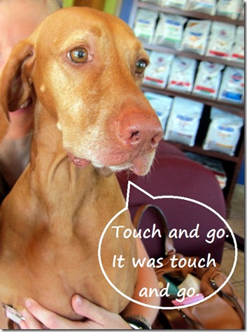 touch and go