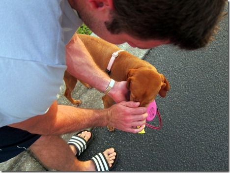 wiping drool off dog