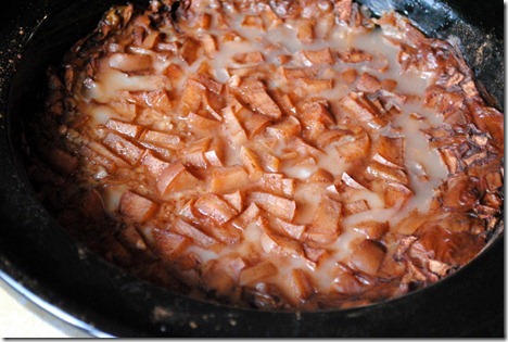 apple cinnamon steel cut oatmeal 004