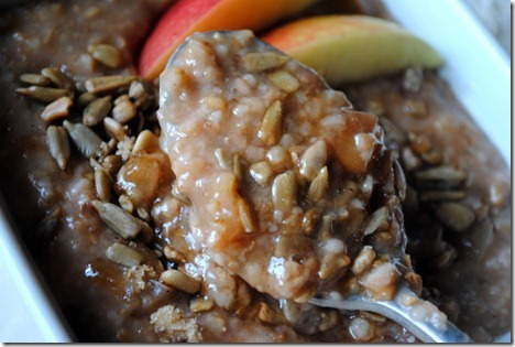 apple cinnamon steel cut oatmeal 024