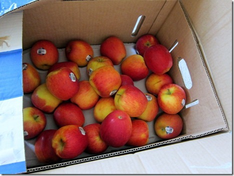 apples