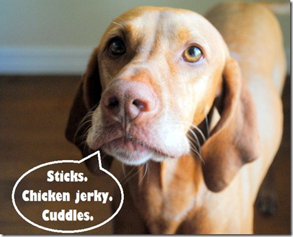dogs wishes