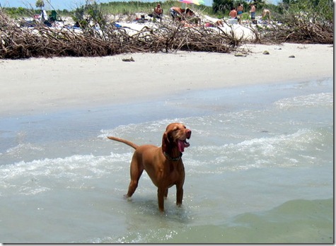 fourth of july daytona beach 008