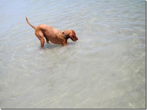 fourth of july daytona beach 011