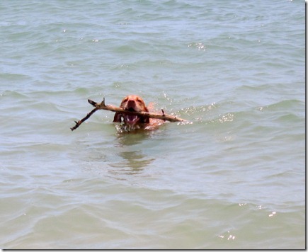 fourth of july daytona beach 015