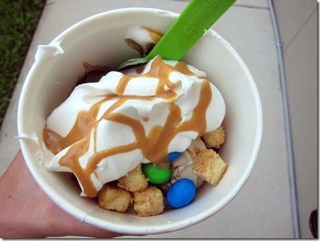 frozen yogurt