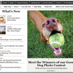 garden and gun magazine