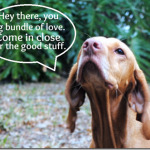 bundle of love