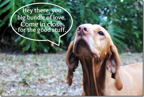 bundle of love