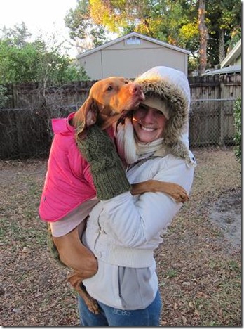 bundled up dog
