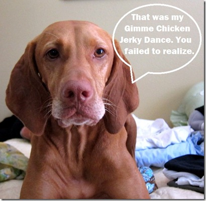 chicken jerky