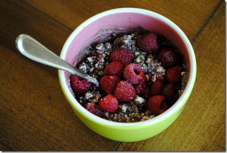chocolate cottage cheese