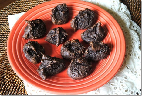 double chocolate protein bites 007