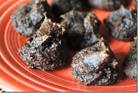 double chocolate protein bites 010