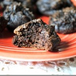 double chocolate protein bites 027-001 double chocolate protein bites 027-001