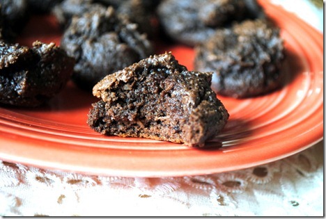 double chocolate protein bites 027-001