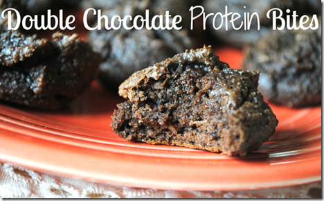 double chocolate protein bites