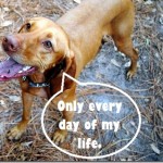 every day of my life