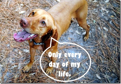 every day of my life