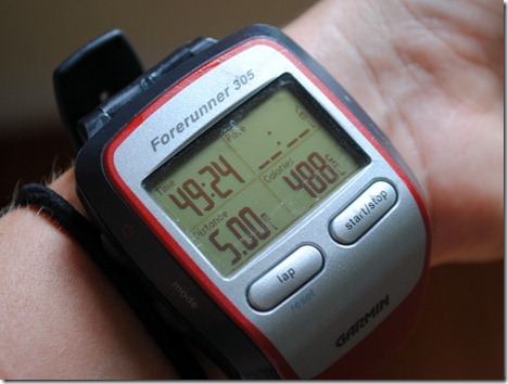 garmin 305