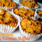 Gluten Free Honey Pumpkin Muffins