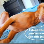 i don't think you're ready for this jelly