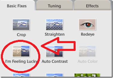 i'm feeling lucky picasa