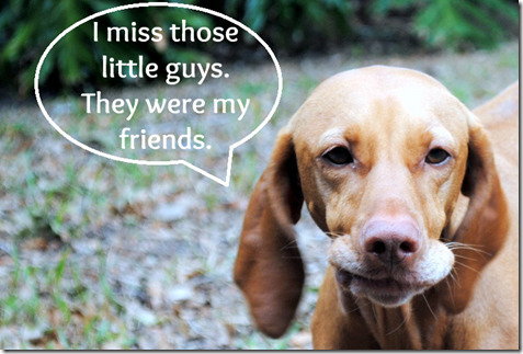 miss those guys