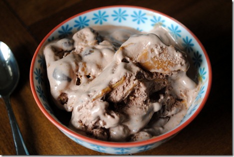 publix chocolate peanut butter ice cream